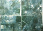 Wall of light and pattern: homage to the Institut du Monde Arabe I