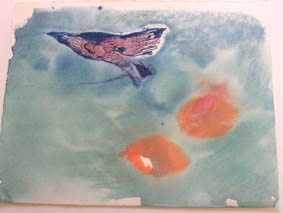 Prelim studies for children's books / Voorstudies vir kinderboeke