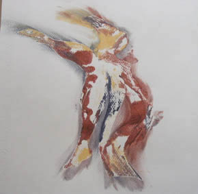 Prelim studies for children's books / Voorstudies vir kinderboeke